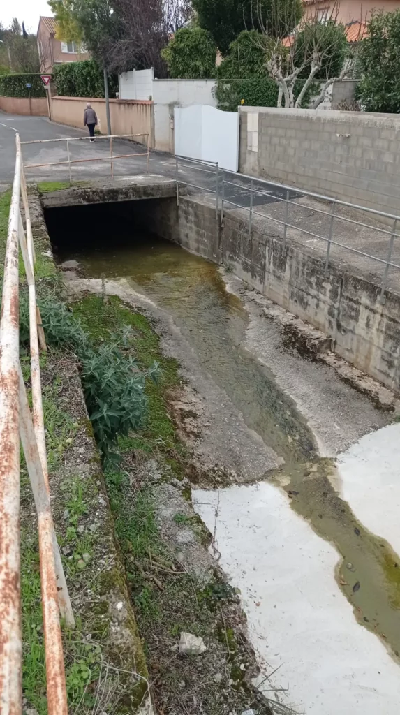 Le ruisseau de Ladoux.