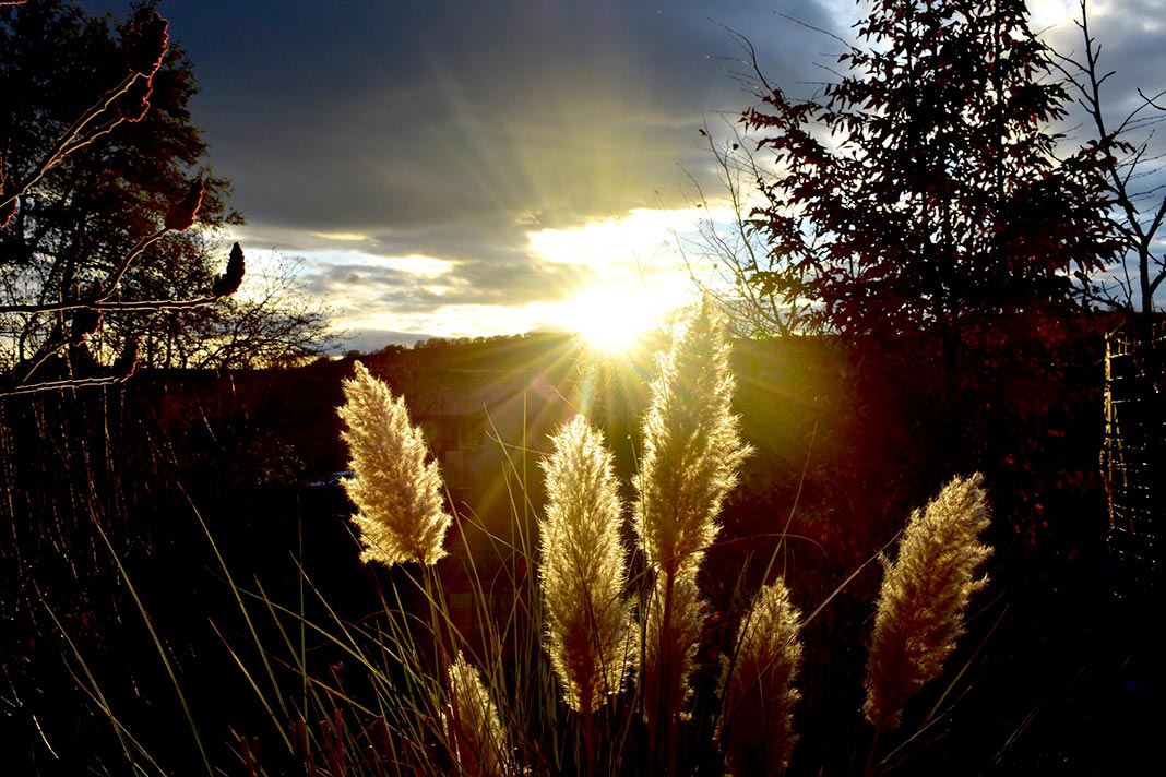 millau etat civil 301120