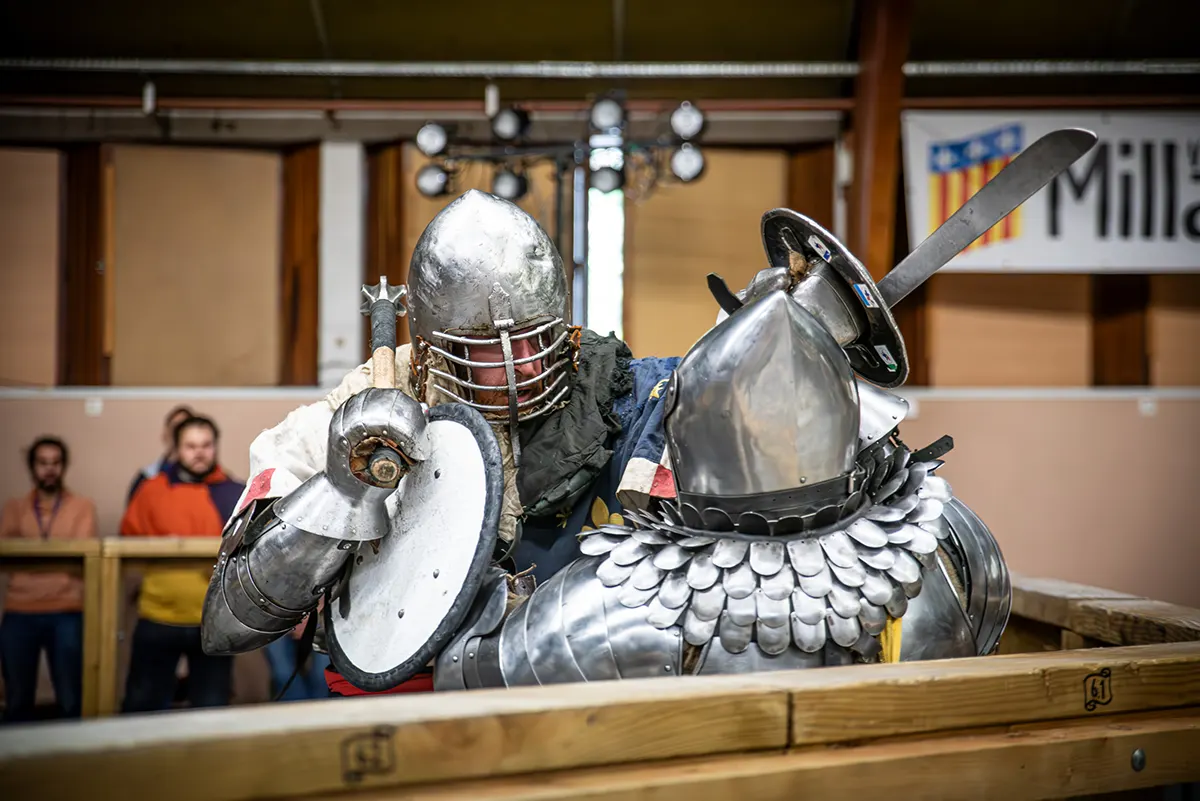 Millau. Les combats de béhourd se poursuivent au Lion d’Acier 13 millau lion acier octobre 23 14