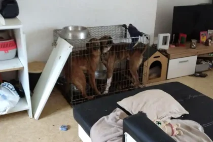 millau sauvetage spa 1