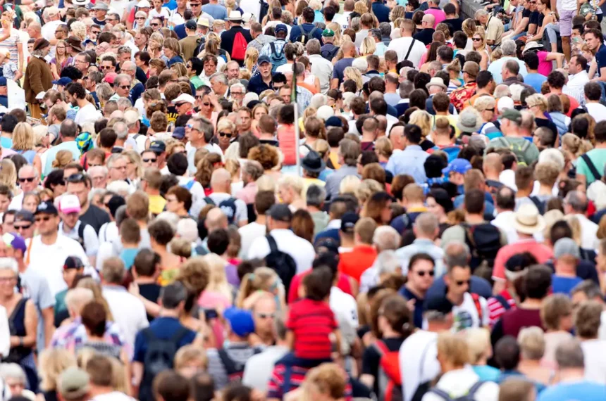 millau animations 30 decembre